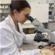 Estudiante de ingeniería en sistemas biológicos en la universidad politécnica de cataluña